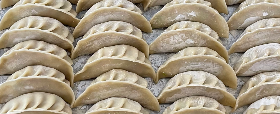 Handmade Potstickers